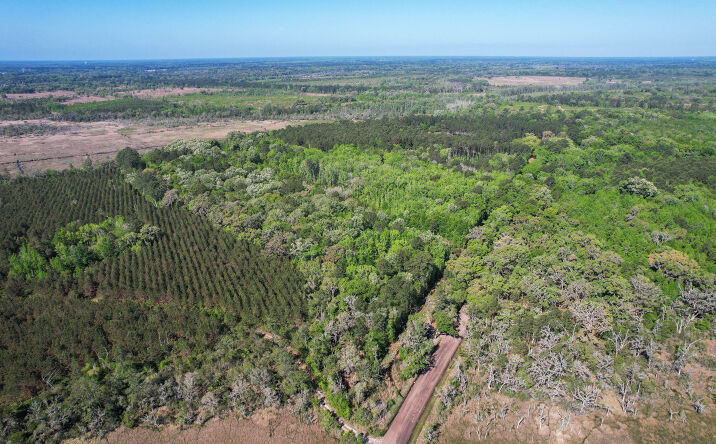 Cay Creek Rd, Midway