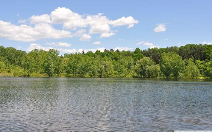 Browns Pond road, Clinton