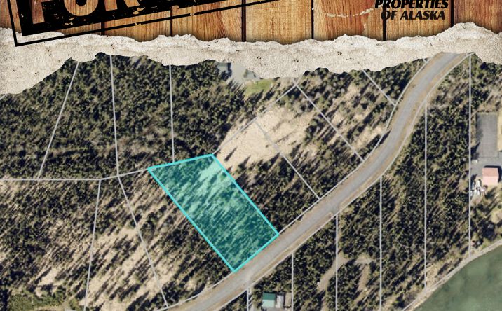 860 RIVER ESTS DR, SOLDOTNA