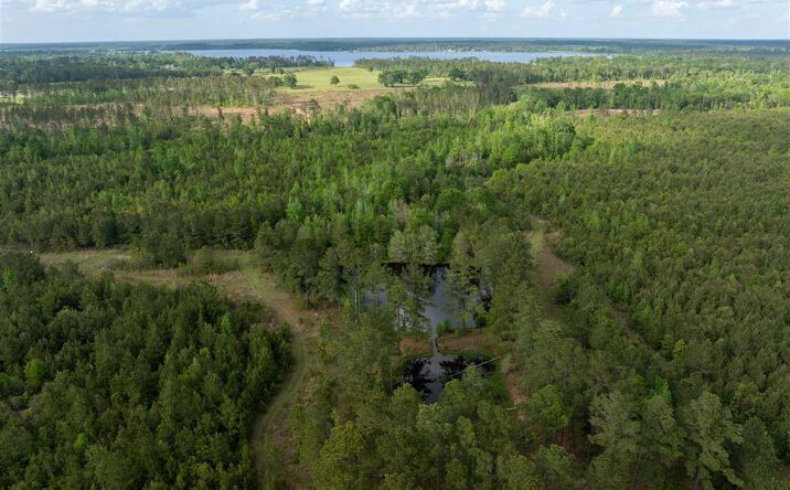 Odis Greene Road, DeRidder