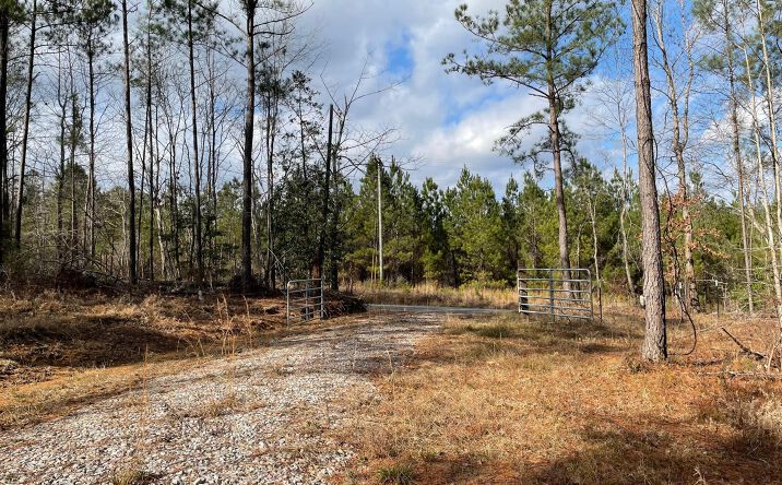 174 Walker Bottom Road, Meridian