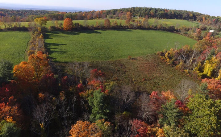 Pratt Hill Road, Austerlitz