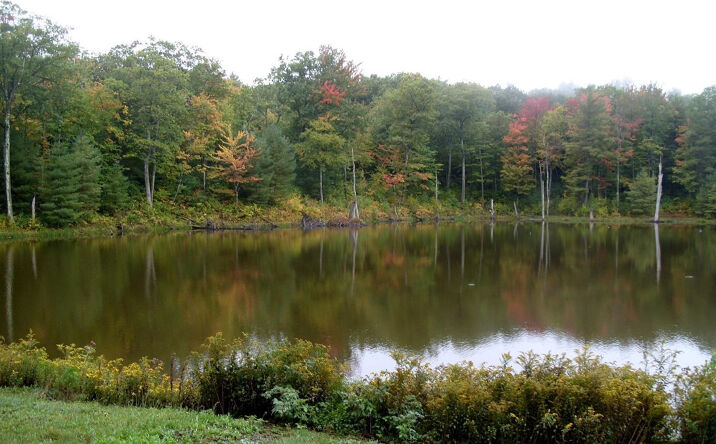 423 Mercer Mountain Rd, Austerlitz