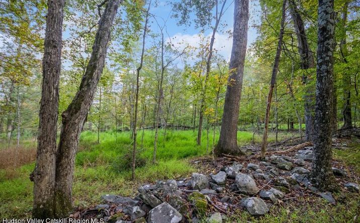 Ashokan Road, Kingston