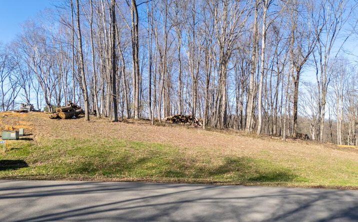 TBD Clifton Ridge Rd., Abingdon