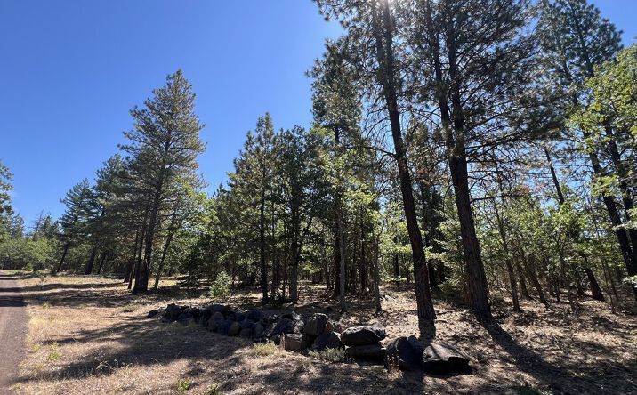 407 Blue Spruce Rd, Goldendale