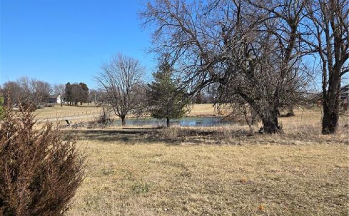 1029 NE Brookfield Drive, Lee's Summit