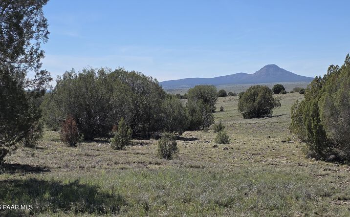 Lot 6 Off Ten Tanks Rd, Ash Fork
