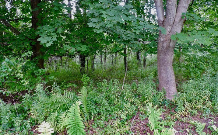 360 Hunt Road, Hillsdale