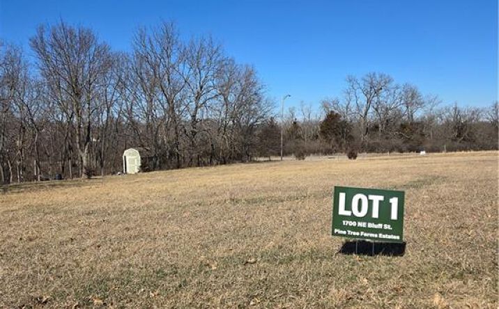1700 NE Bluff Street, Lee's Summit