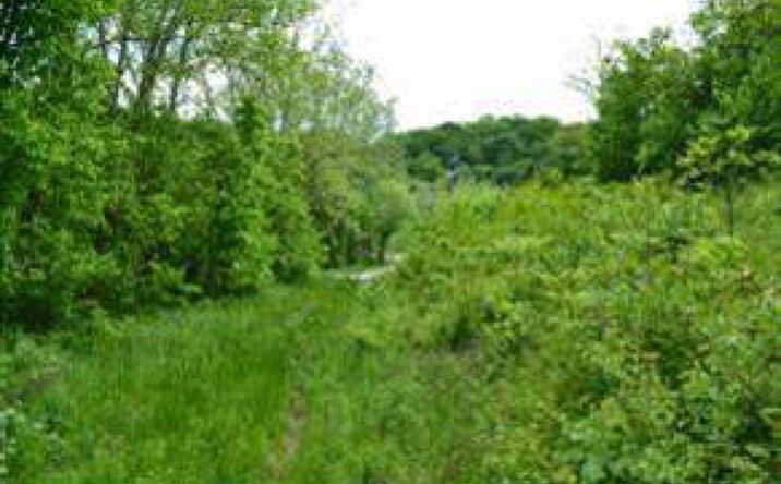 Long Branch Road, Moores Hill