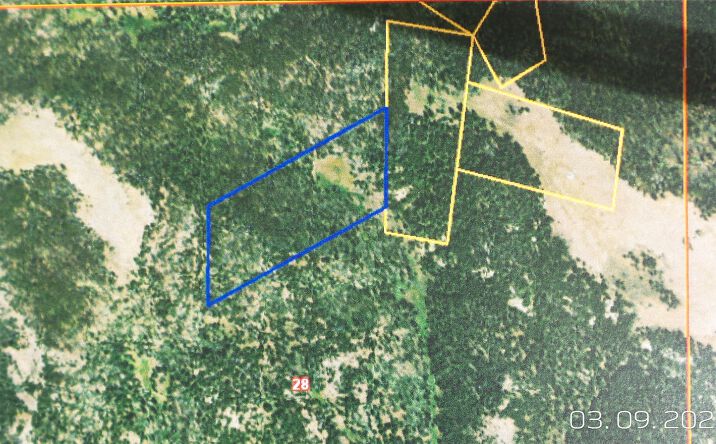 NHN Cyclone, White Sulphur Springs