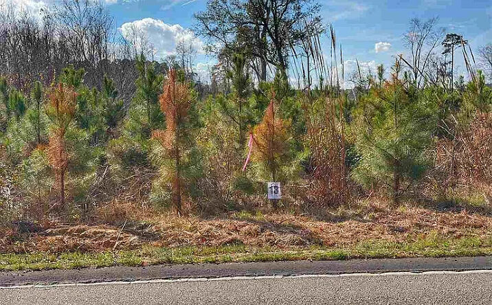 Lot 13 E Academy St, Latta