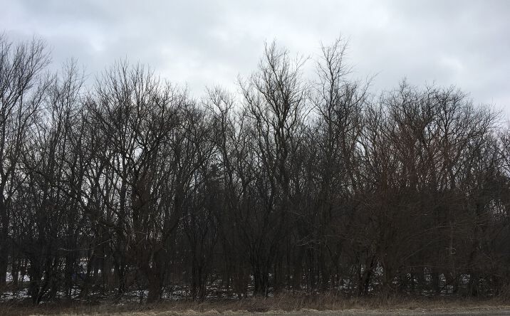 000 IL Route 176, Prairie Grove
