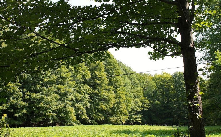 Middle Rd, Austerlitz
