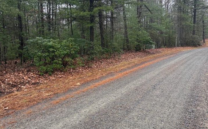 TBD Forest Green Dr, Galax