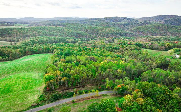 TBD Pedigo Ridge Rd, Claudville