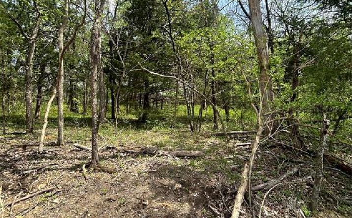 197 Sycamore Drive, Linn Valley