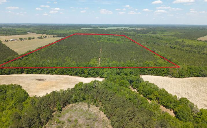 0 Effingham Highway, 30964