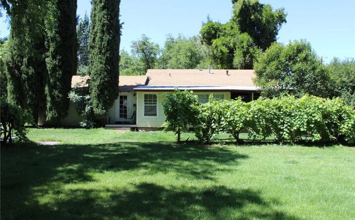 3166 Godman, Chico