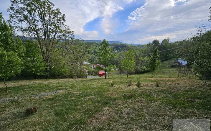 Grant St., Bluefield