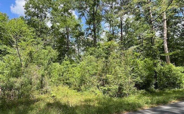 Jeane Chapel Road, Leesville