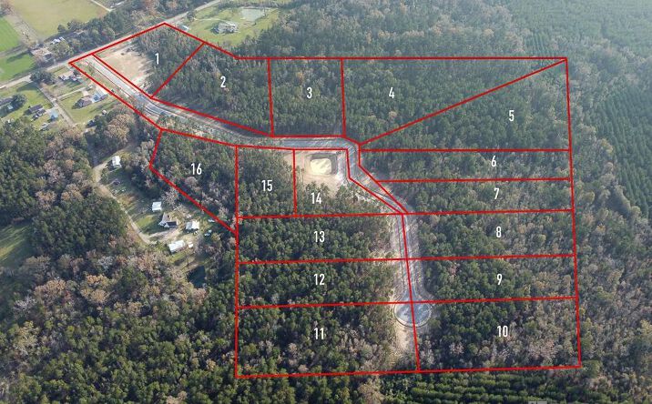 18487 Settlement Trace, Livingston