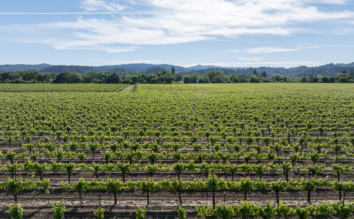 374 Kinley Drive, Healdsburg