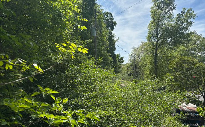 Lots 120, 123-127 Rocky Ln, Perryville