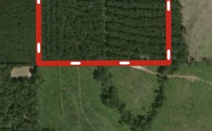 CR 2418, Hickory