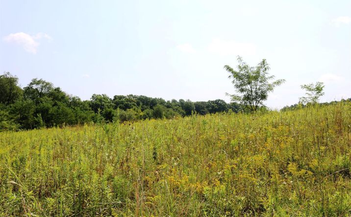 8ac St Rt 350, Moores Hill