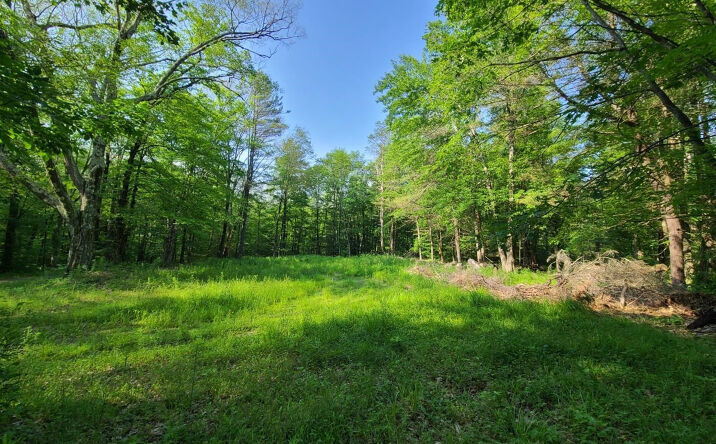 Engel Road, Austerlitz