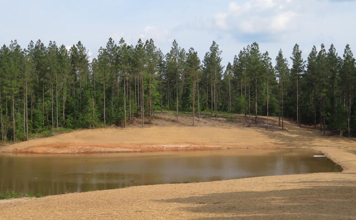 Joe Thomas Road, Meridian