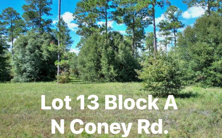 TBD N Coney Rd. Lot 13, Cordele
