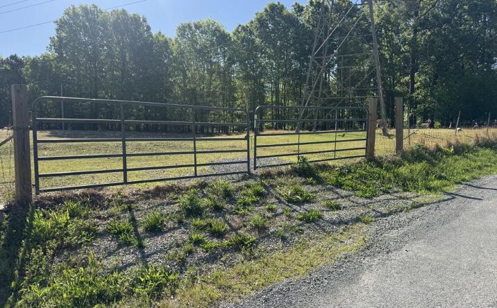 Laminack Road, Carterville