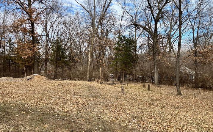 6318 Riverview Avenue, Kansas City