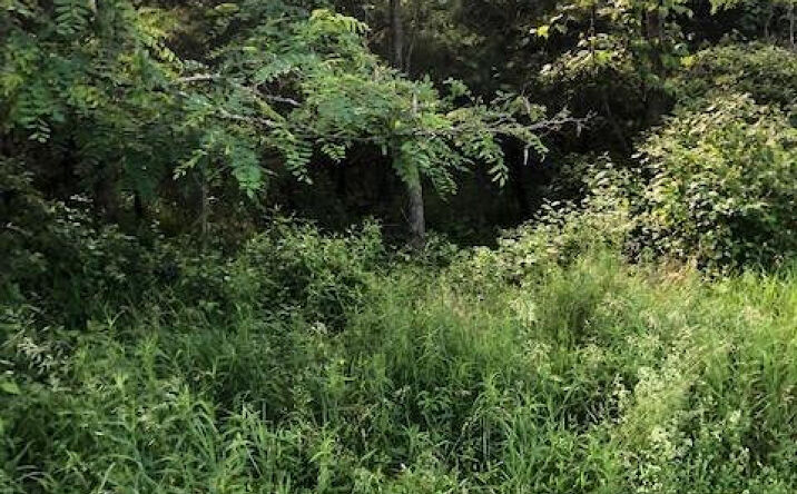 2310 - Lot 1 Sleepy Hollow Road, Athens