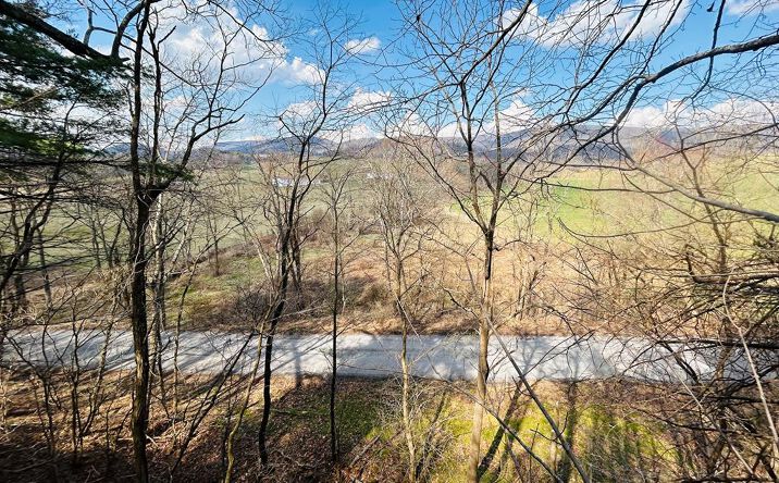 TBD Wilkins Ln, Wytheville