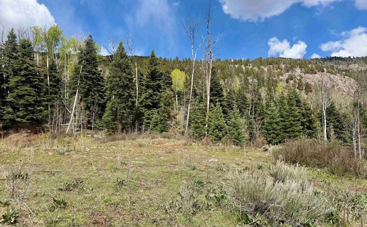 Aspen Bluff, Chama