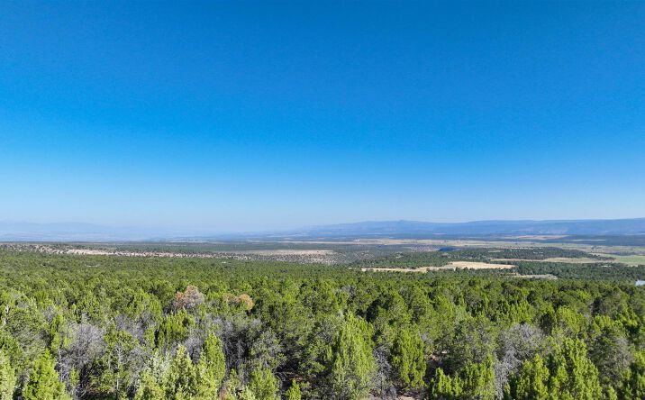 246 La Mesa Vis Dr, Norwood