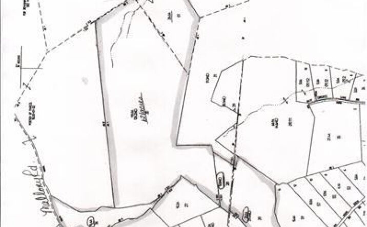 Mallory Road, Austerlitz