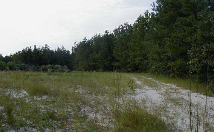 1000 372 Road, Enterprise