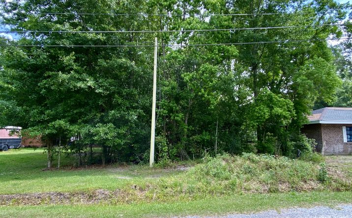 104 Tulip Drive, Picayune