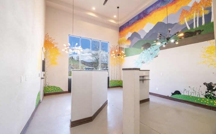 2700 Lincoln Avenue, Steamboat Springs