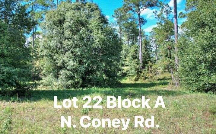 TBD N Coney Rd. Lot 22, Cordele