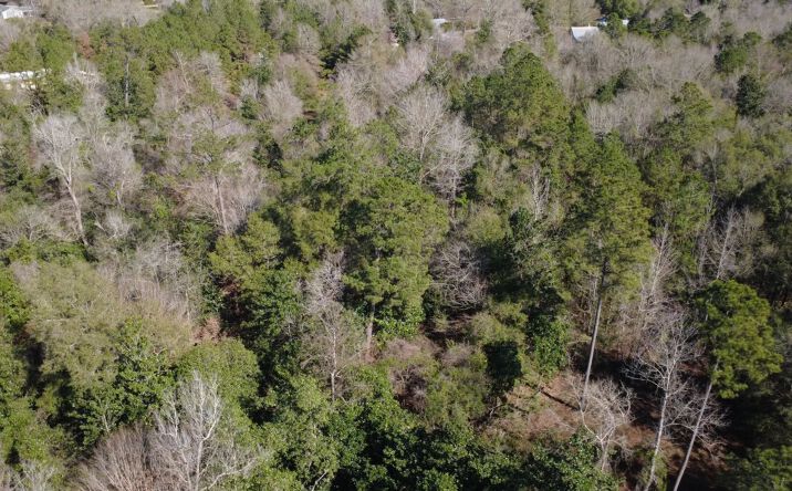 McGehee Road, Bogalusa