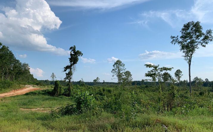 Espey Hedgepeth Road, Bailey