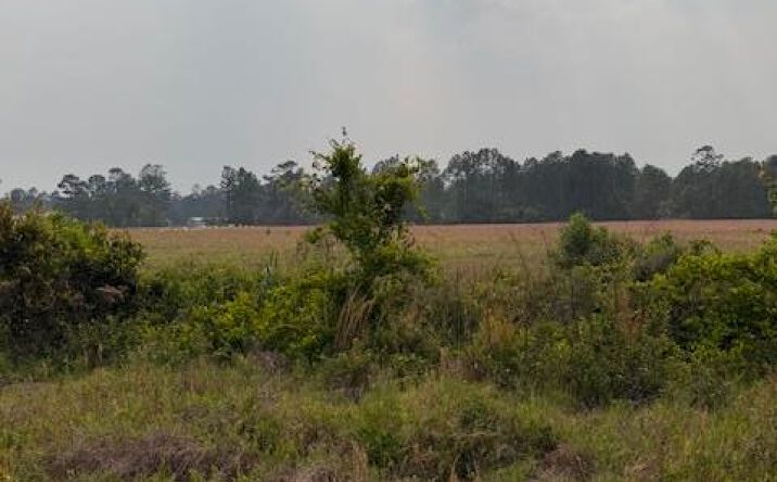 Moore Road Tract 6, Naylor