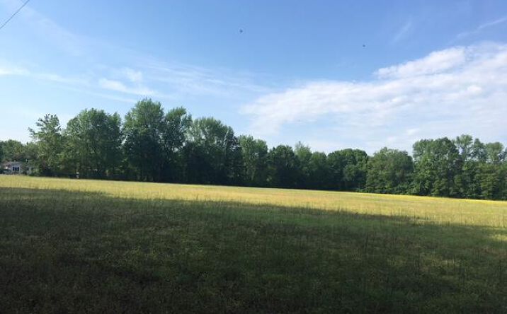 Beaver Dam Road, EMMERTON
