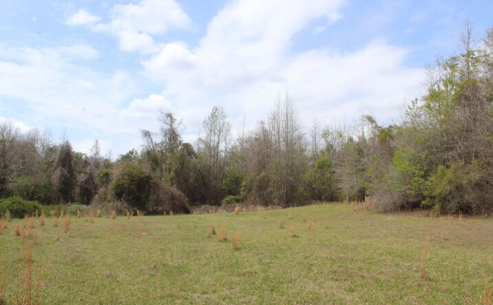 337+/- ac Hwy 137, Buena Vista